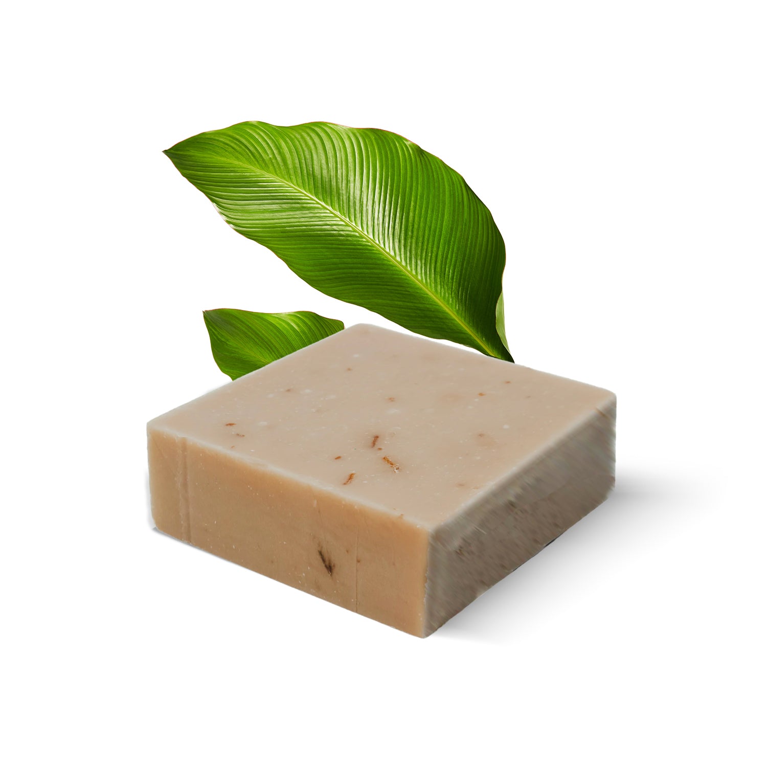 Clay Detox Soap
