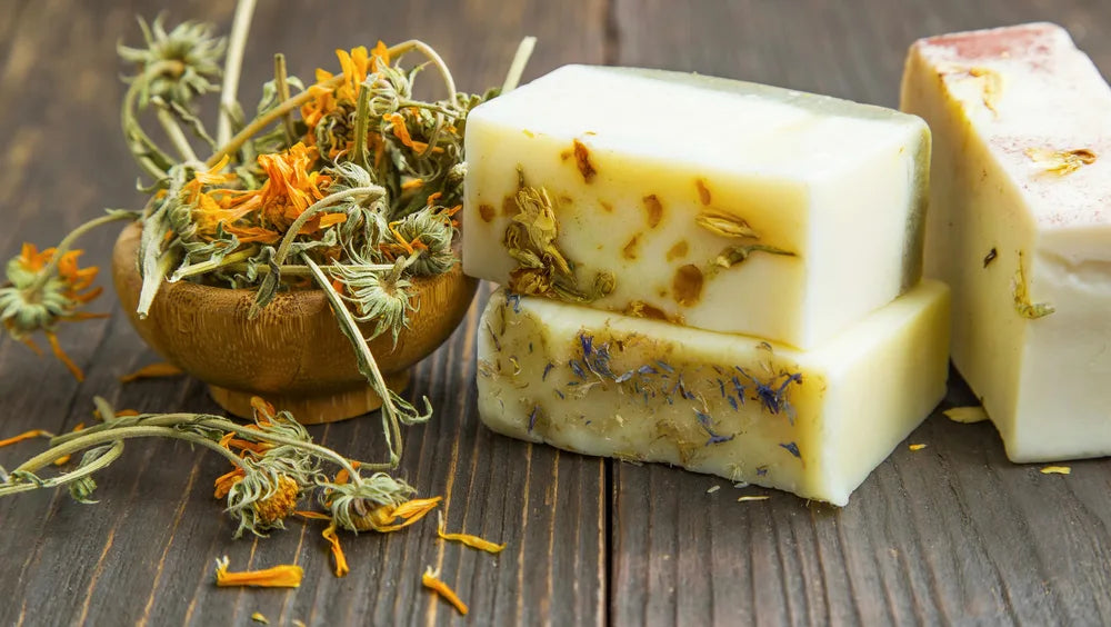 Coconut Botanical Soap Bar